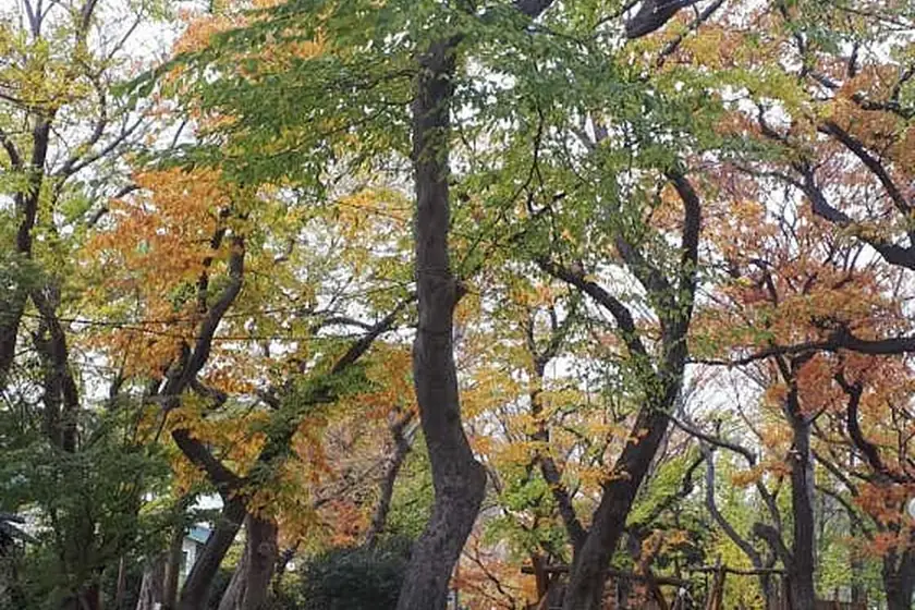 포구나무집 대표 메뉴 이미지